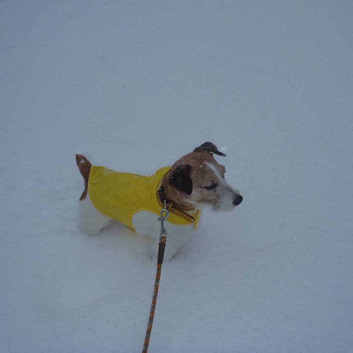 C1880899 d5e0 4683 8fc0 4b43666addd3