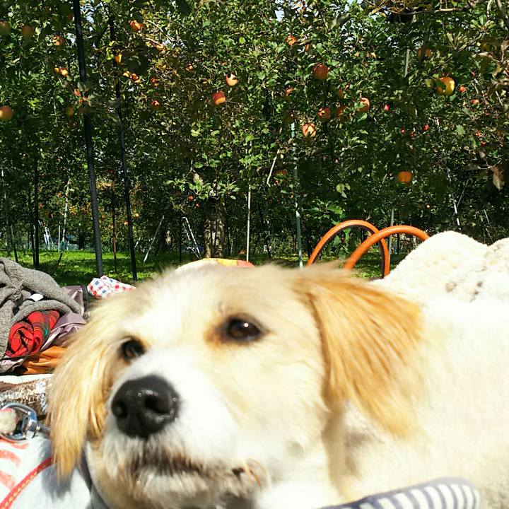 C188199b 7878 4ee2 8df2 7ded98e66a8e