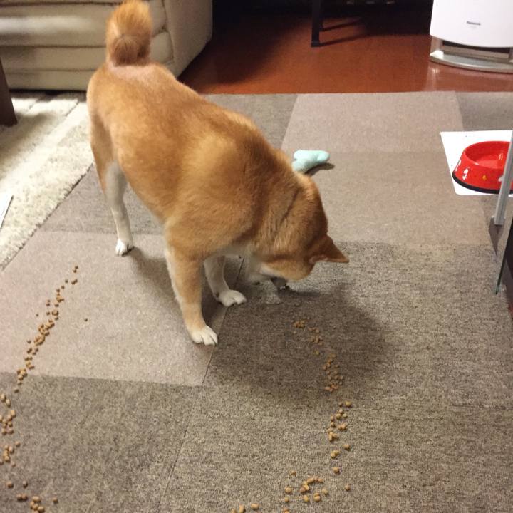 C1889cb1 3217 4ae7 b75c d111b476c0d4