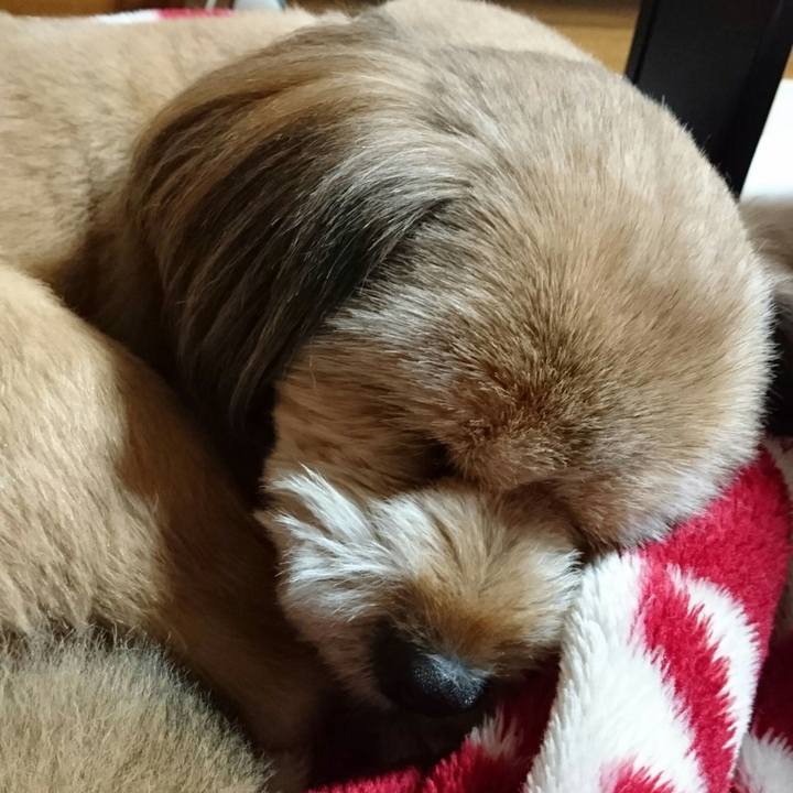 C1896cb4 ff87 4462 9ee5 45b1165921e1