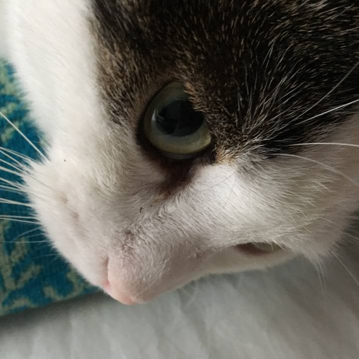 C189cb07 0272 4277 a6d4 b6e2313d78c7