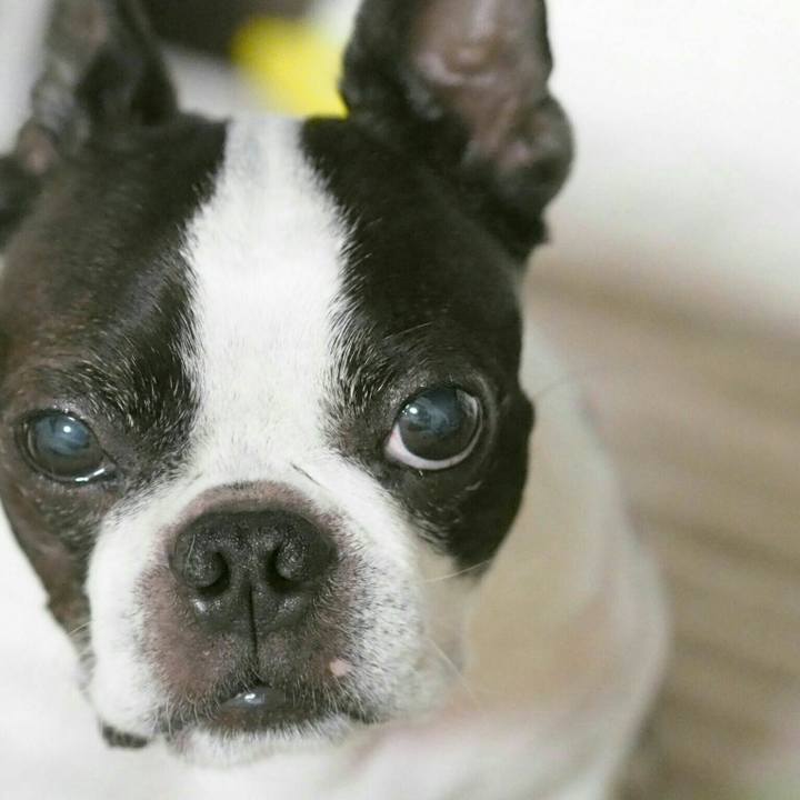 C18a04f4 a540 490c bc24 cab93b392a45