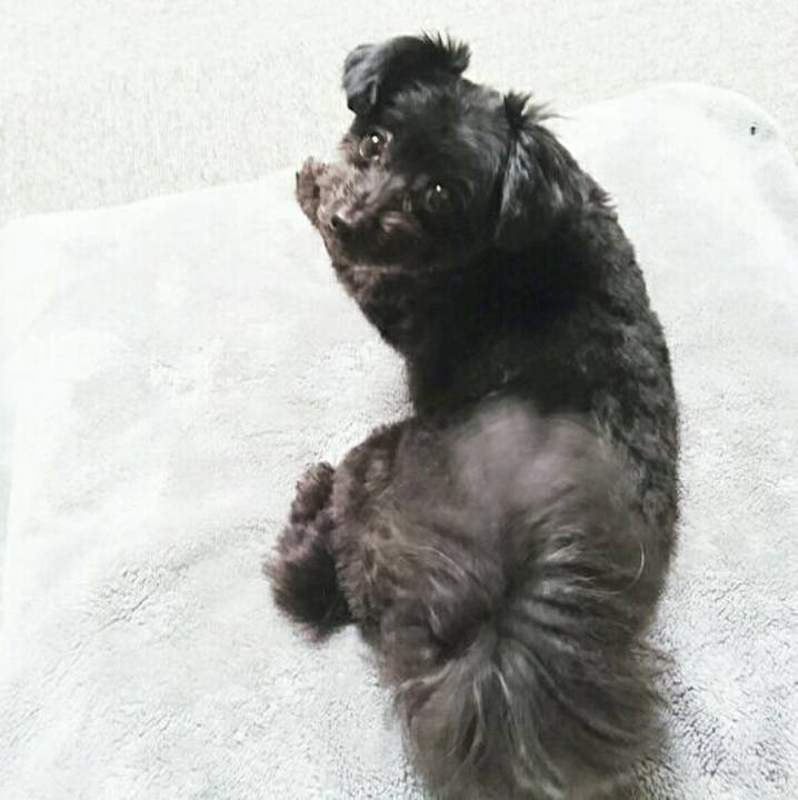 C18a2e68 c5f9 4893 99c1 295c1988e3c9