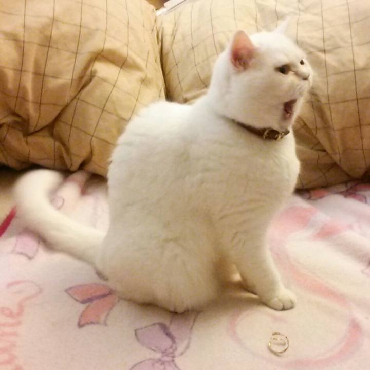 C18a4ec7 b0aa 46d1 924b 0ec4840376ac