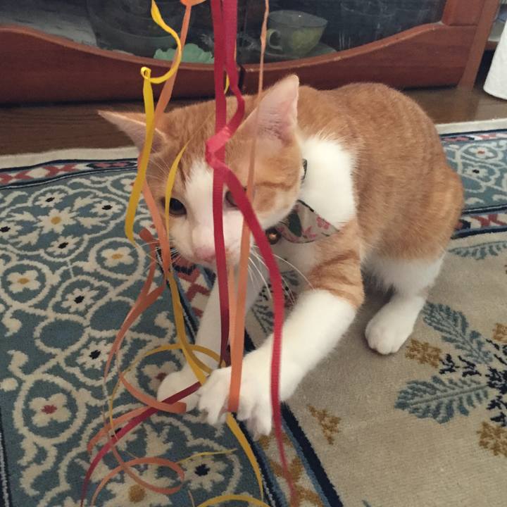 C18a7d8a da07 4356 9c89 241a0e268fcc