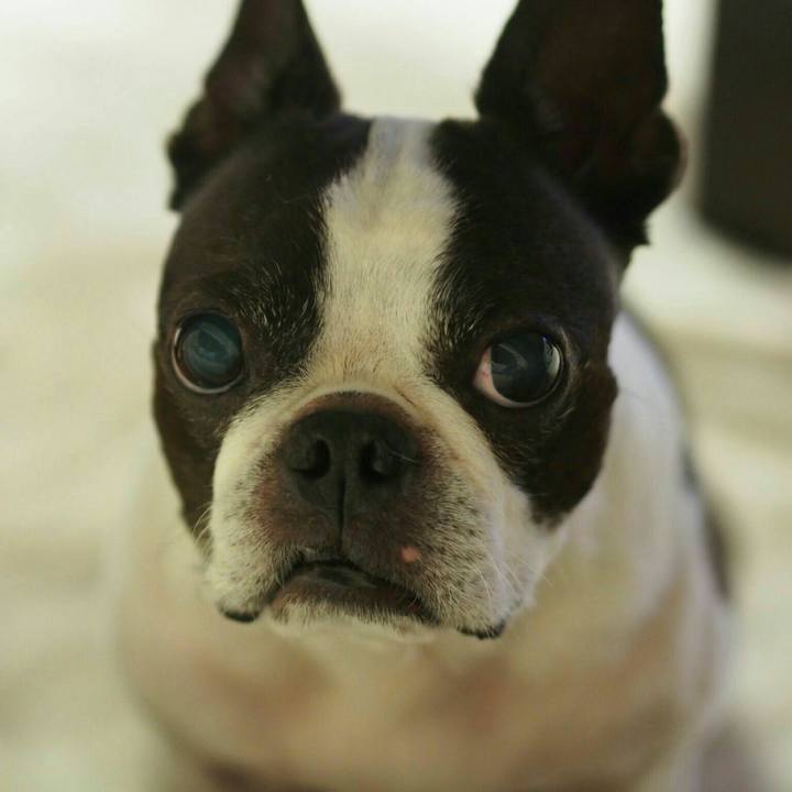 C18b6343 92d2 4609 87c7 115502590160