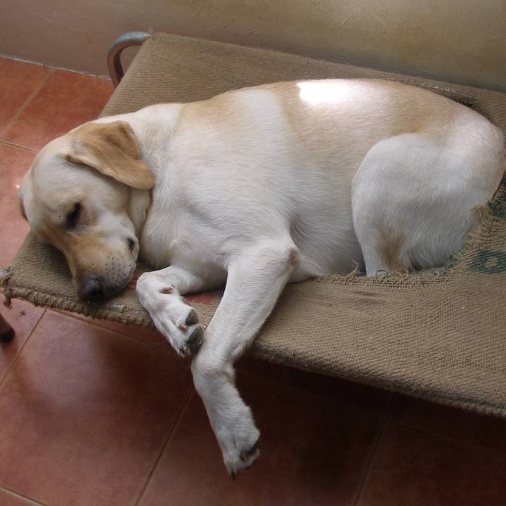 C18bec4f e200 480b b479 6b6f3fa6e652