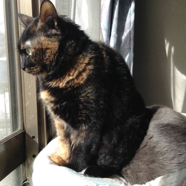 C18c5a7a 4433 48e2 84ab a55e135d1318