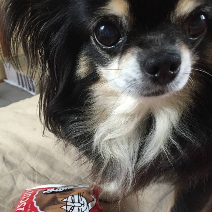 C18c9c34 e55d 4e03 ba16 5dc1b991cf37