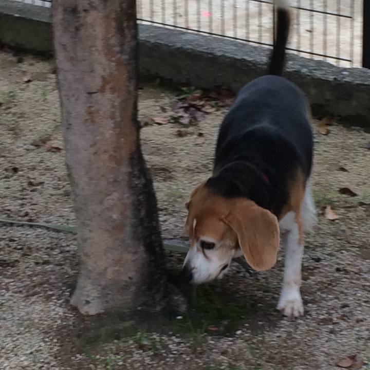 C18c9ed3 40a5 424a a731 969e280e7fea