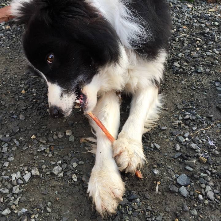 C18ca4cc f572 46c2 a895 461e3f605209