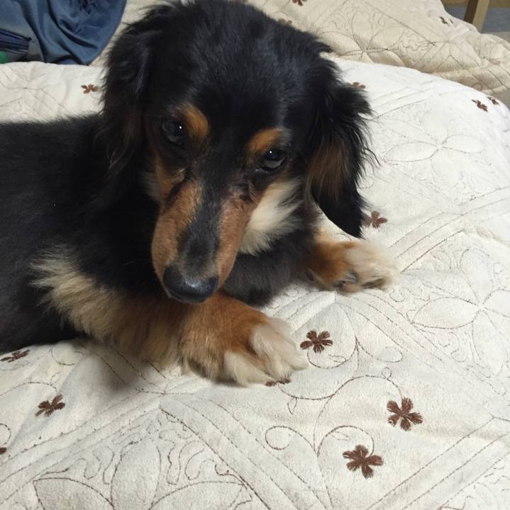 C18cdcae 990b 4920 a819 f476064a7984