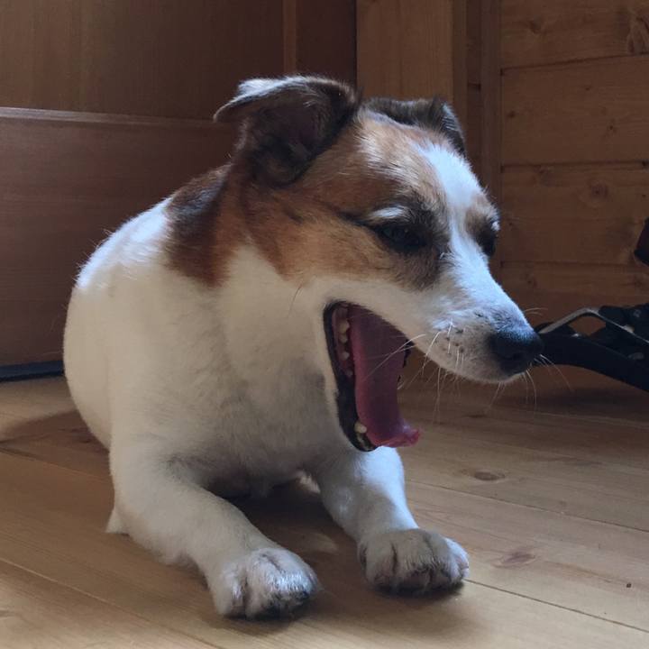 C18da6bf c0ff 48ff a255 7c336ef314dc