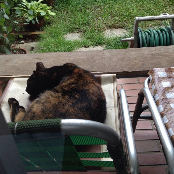 C18e2139 ce88 46b4 84af 22b50ef5aa7b