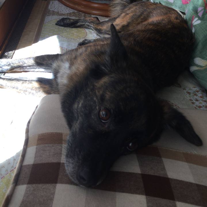 C18e4320 b281 46a2 8e01 eb68b8474cf7