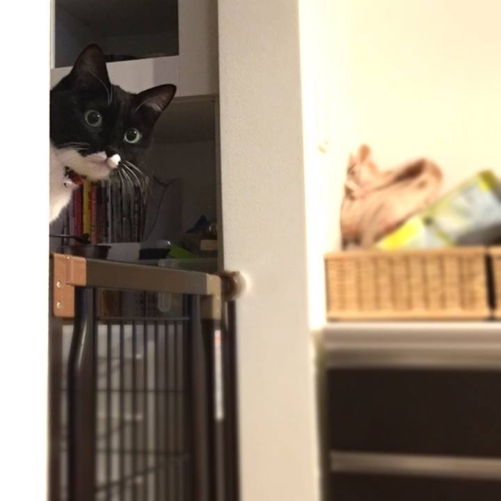 C18e9765 48bd 440b a386 89edf0d8a453