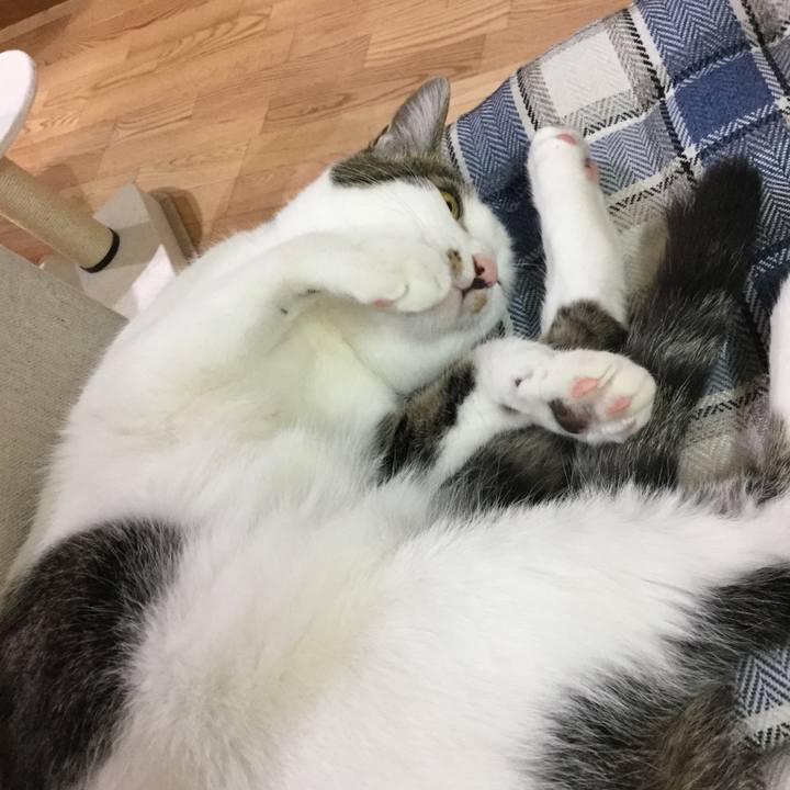 C18ed579 be3c 4ae0 bcba aa541d967a4f