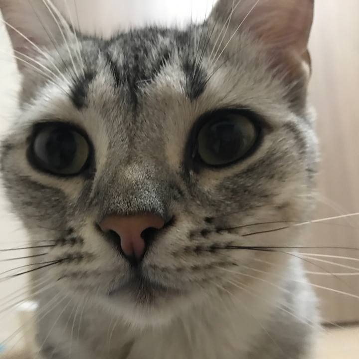 C18f3436 dc17 401f 9e30 6345cb1076d9