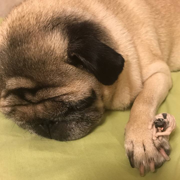 C18f81d4 b00c 4c78 810b 915a3e19c5e7