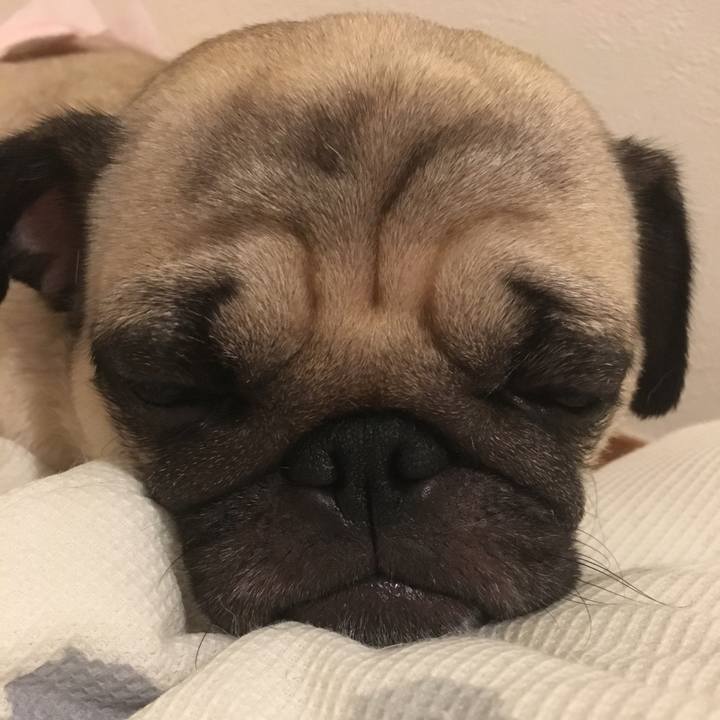 C18f8eb1 41e9 4c61 bb3a 30394f8ad9e9