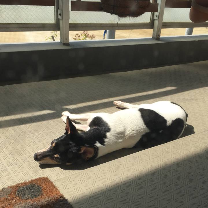 C18fd46d ef87 446b 81ea a54983683f6b