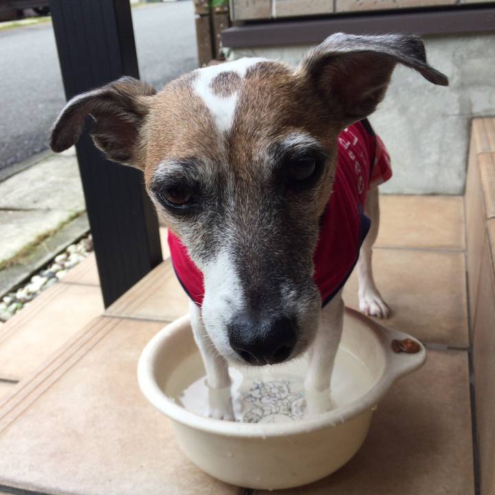 C190c008 0059 4003 acfe 5bbcb712c33f