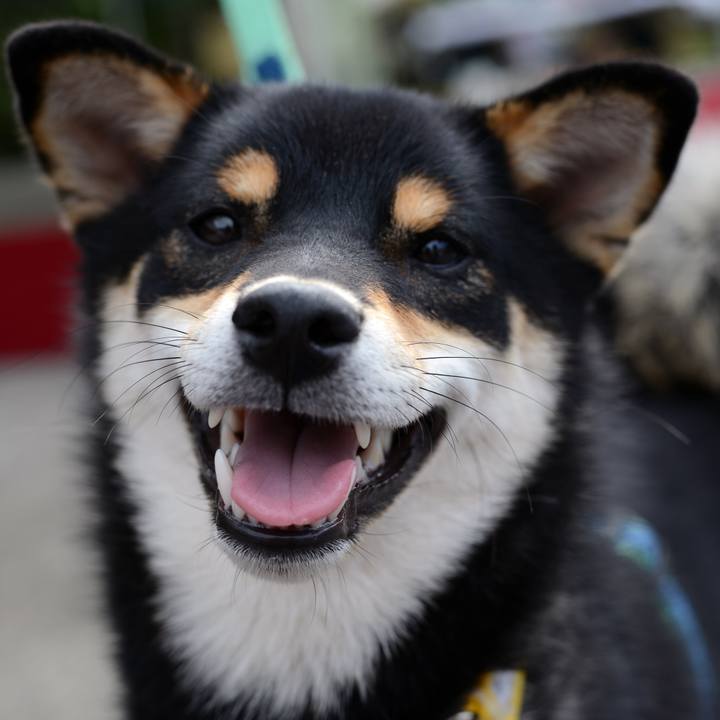 C1915be8 61dc 4861 b871 a592543566e0