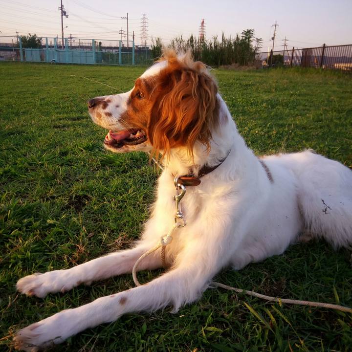 C191e3bc 7a01 418c 9819 f0756ec35dc0