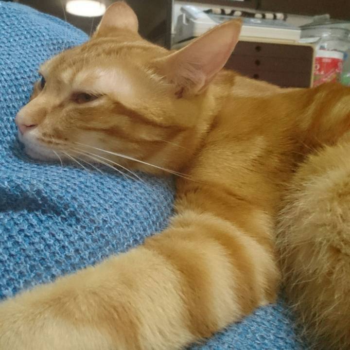 C1923190 e6d9 4c06 9fe3 7d672487c873