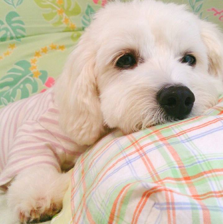 C192706f 7347 4c52 b160 19b2d790799b