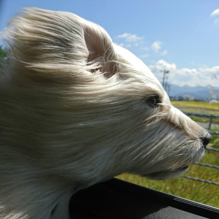 C192777e 5781 438e b472 f288e9a559d2