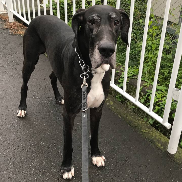 C192e39d b2ca 475c ba4f a834c1da4ac7