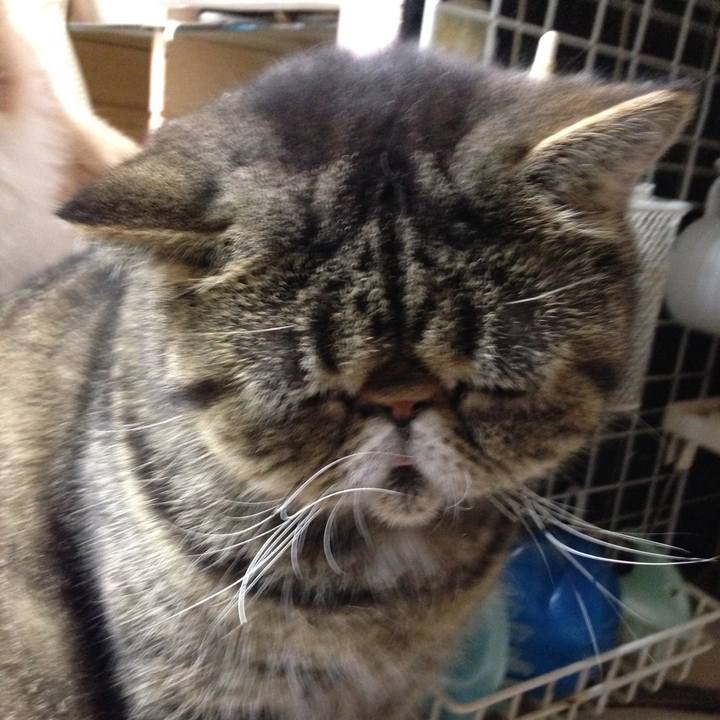 C192ed19 b3dd 4e9b b6e7 75e5b3654b6e