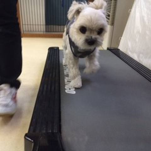 C193c286 cfd7 4da9 93e0 88635edd064d