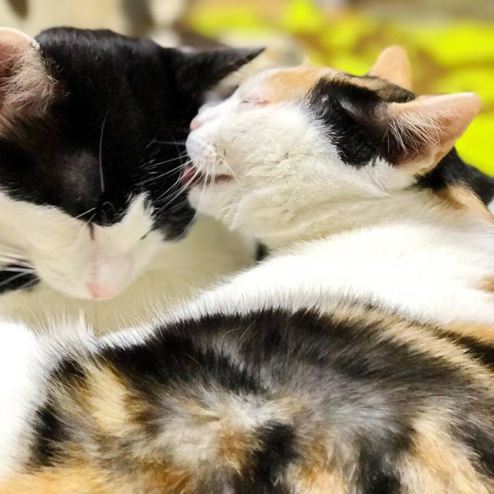 C1946113 b738 41e0 8a37 9012e8eea7a0