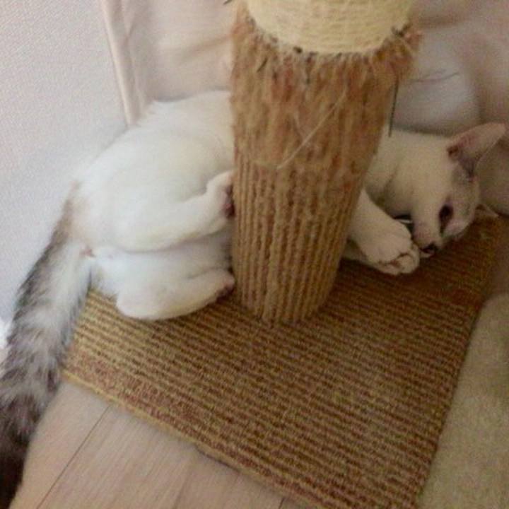 C1949163 60c7 4419 837f 853670cf3167