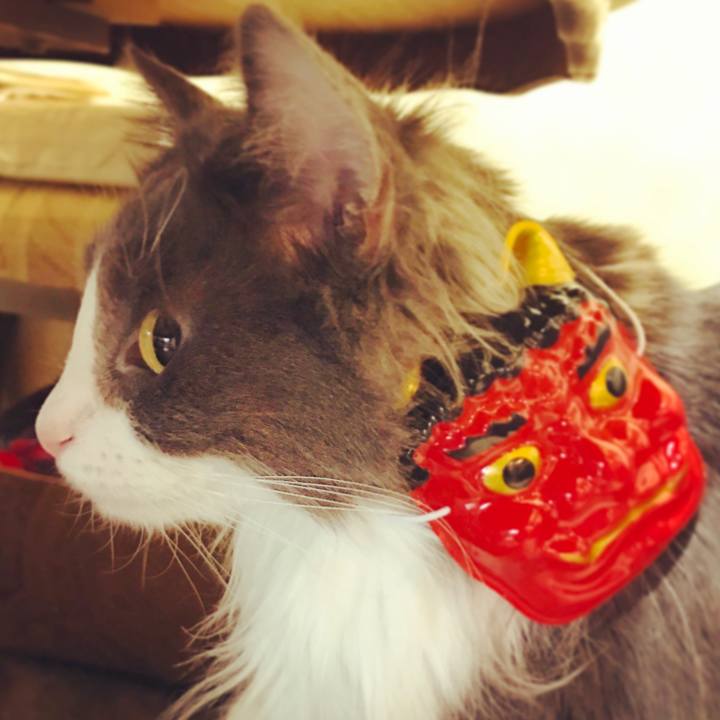 C195f120 a26f 442b bb30 3ba95782db1b