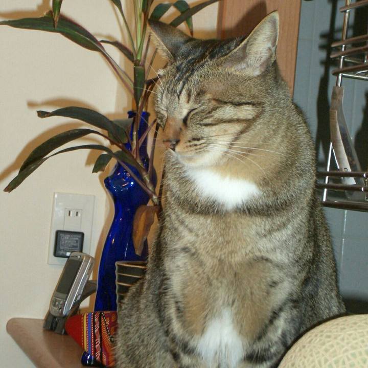 C1964c88 d33e 4fcd 9348 23e1ddc83b56