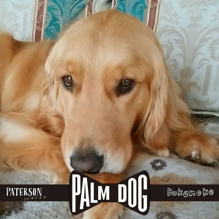 C1968405 3d47 4f59 a396 8979a3d944b5