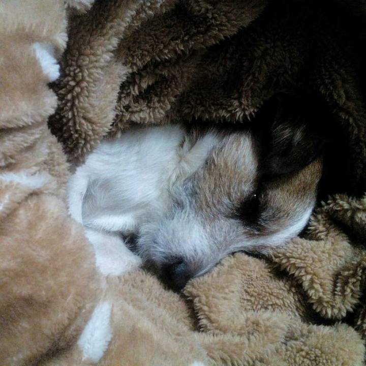 C1968ba6 045a 43aa b7fb e6f3a38533ee