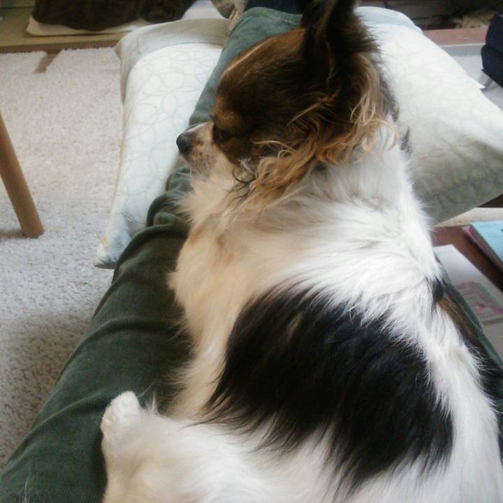 C197a944 0901 4678 b647 88f219530e0b