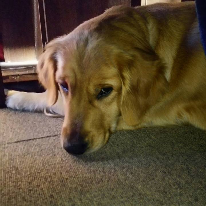 C197c2c7 8e08 4662 975e c1b5672a2304