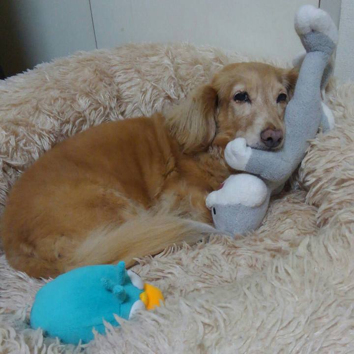 C19831b2 83cb 4a9d a7dd 0478226b3532