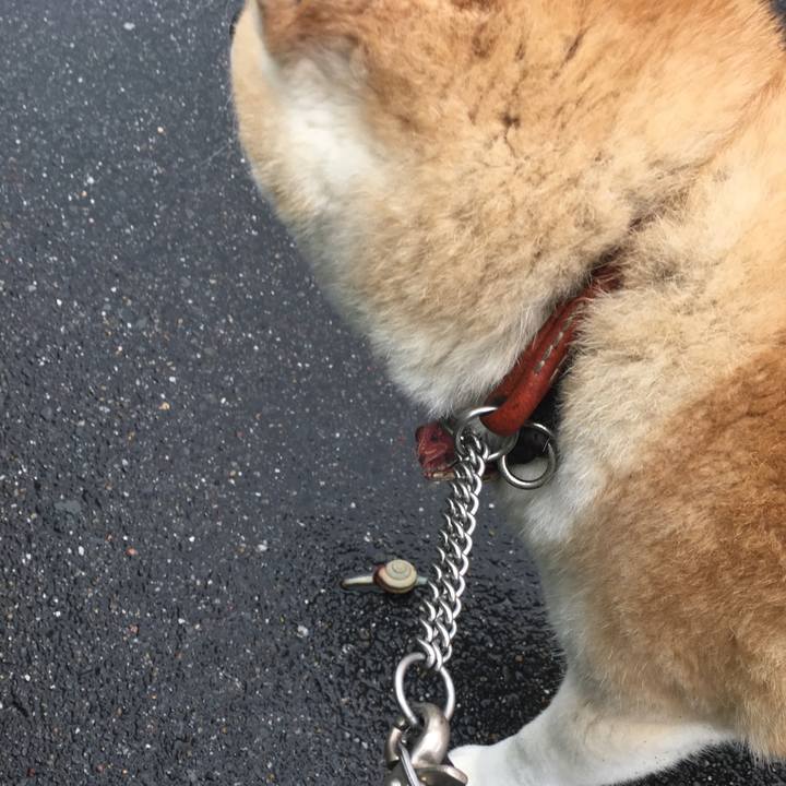 C198485a cb5b 41e3 8d14 860f55c271ca