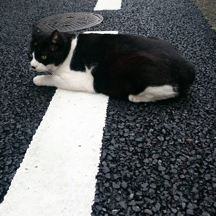 C198e14c 7905 4dae 8f75 4b1090a2090e