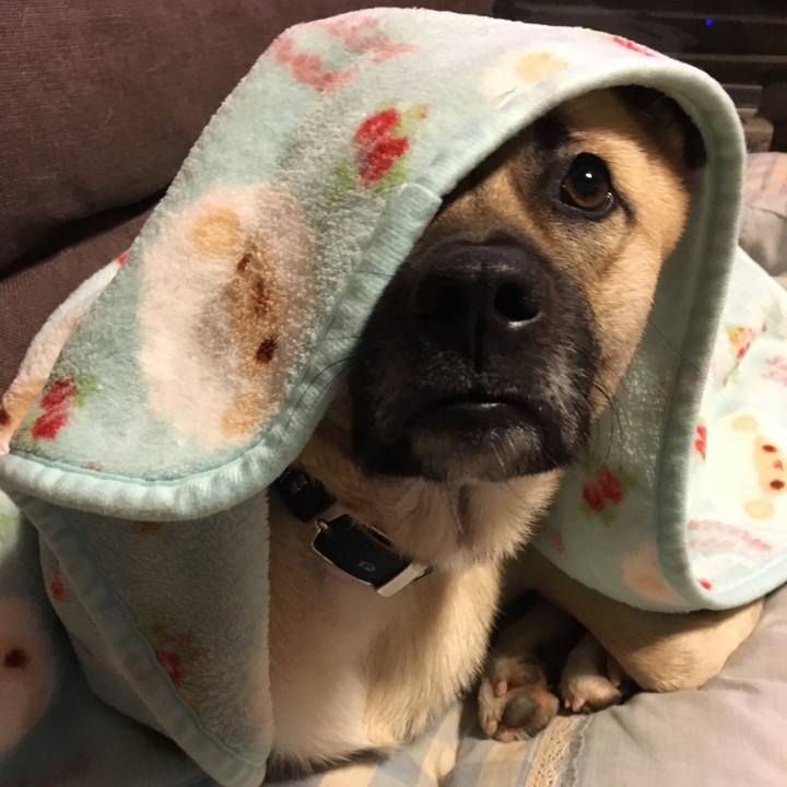 C1993689 4059 4735 9c18 7fba3b9187b1