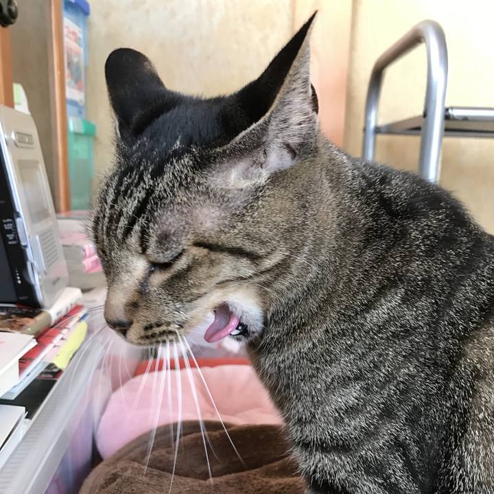 C19958d0 c251 4517 a779 9f7bb27dcca9