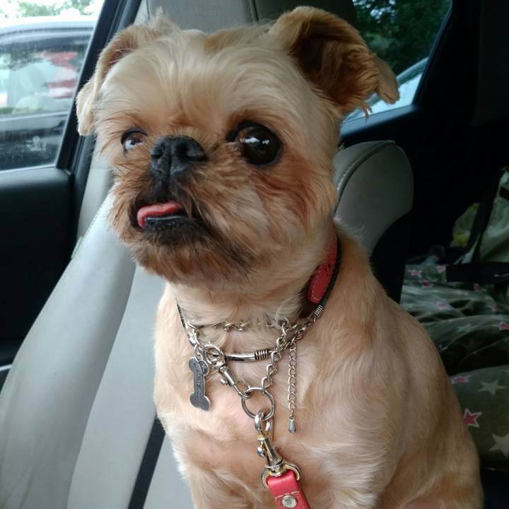 C199b51f 0369 48f7 b8ca d4ce27eab89c