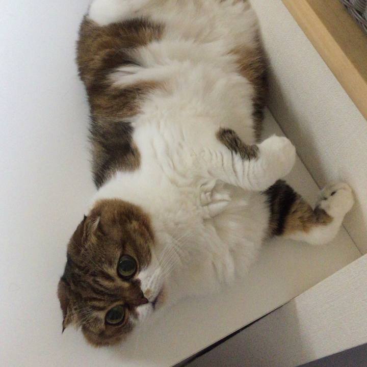 C19a1d56 965e 4073 8c3d 91187281ab88