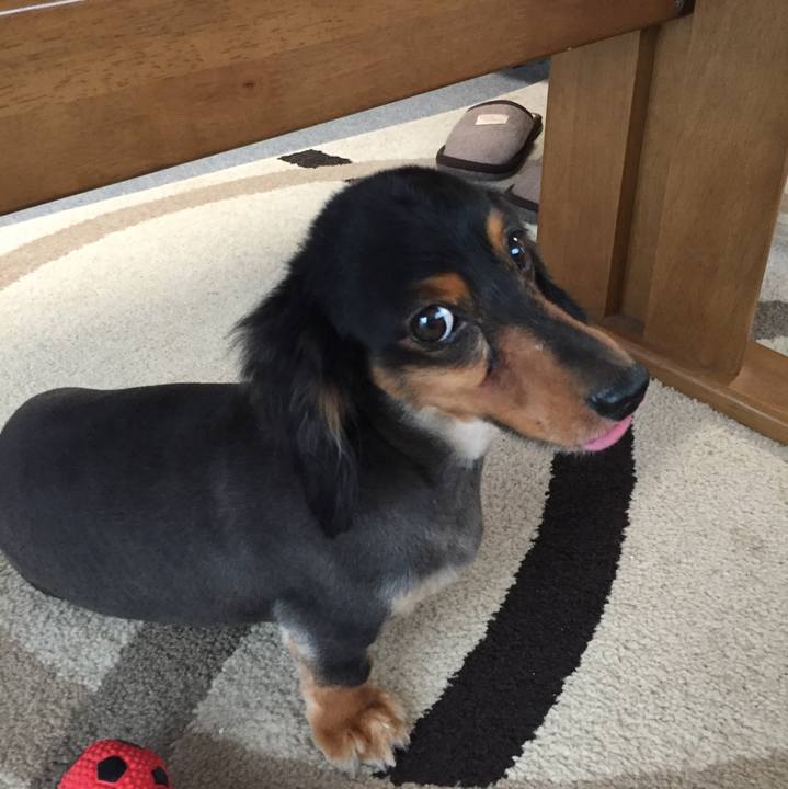 C19a1fb3 3fd3 44f5 a22d 183ff882ec0a